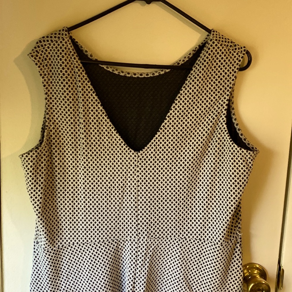 Plus Size skater dress